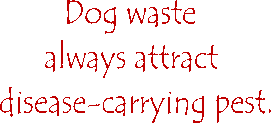 Dog waste   always attract   disease-carrying pest.